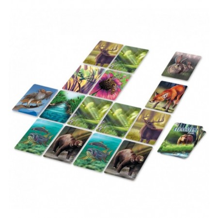 ECOSYSTEME FORET