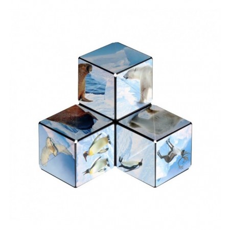 ARCTIC SHASHIBO
