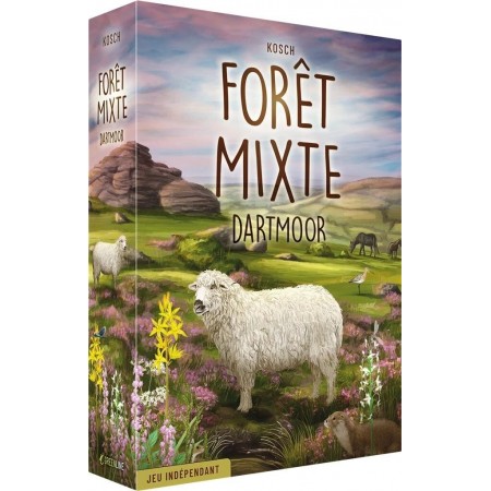 FORET MIXTE : DARTMOOR