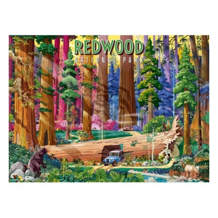 500P : REDWOOD : PARC NATIONAL