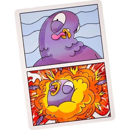PIGEON EXPLOSION