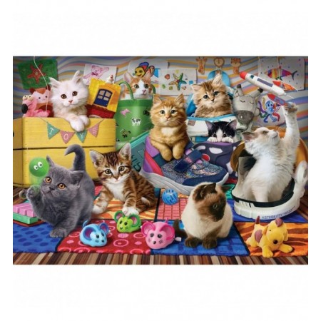 500P RECREATION DES CHATONS...