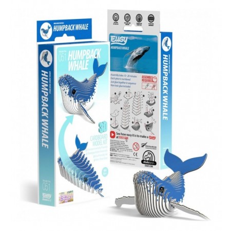 BALEINE - EUGY 3D