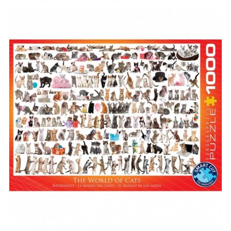 1000P LE MONDE DES CHATS -...