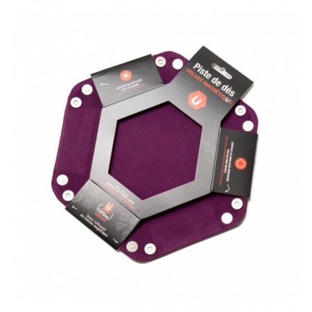 CASSIS PISTE DELUXE MAGNETIQUE