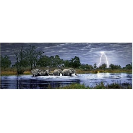 2000P TROUPEAU D'ELEPHANTS...