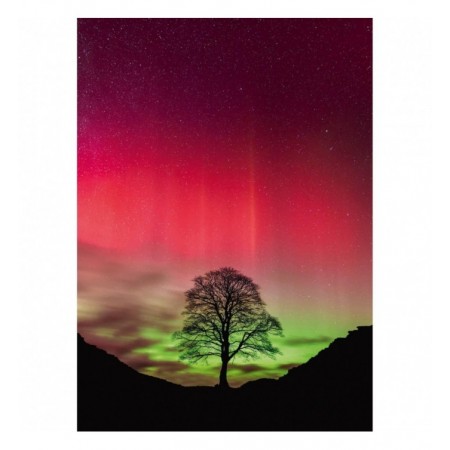 1000P POWER OF NATURE...