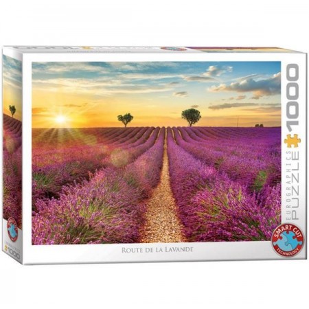 1000P ROUTE DE LAVANDE...
