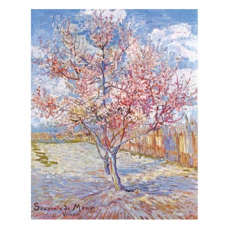 350P SOUVENIR DE MAUVE -...