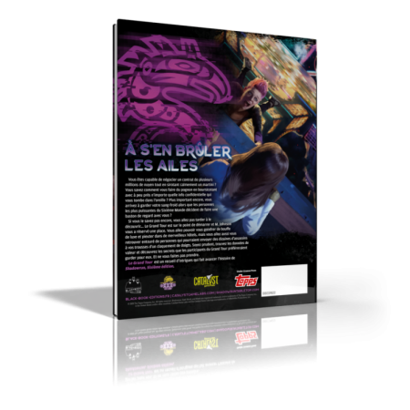 LE GRAND TOUR : SHADOWRUN 6