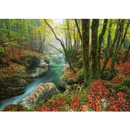 1000P LITTLE BROOK MAGIC...