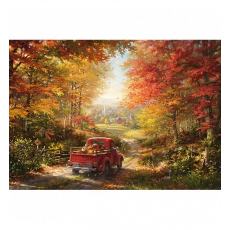 1000P RETOUR A LA MAISON -...