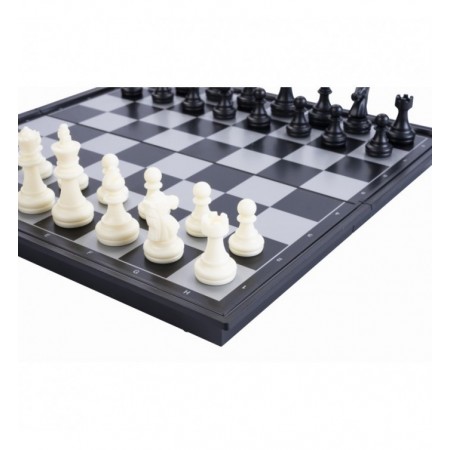 ECHECS BACKGAMMON MAGNET...
