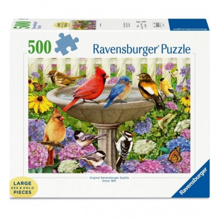 500P LARGE : LE BAIN D'OISEAUX