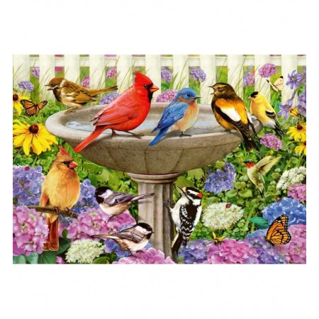 500P LARGE : LE BAIN D'OISEAUX