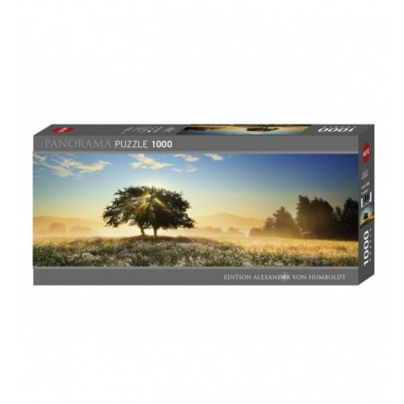 1000P PLAY/LIGHT PANORAMA